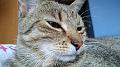 2016-07-23 12.34.15 Inka